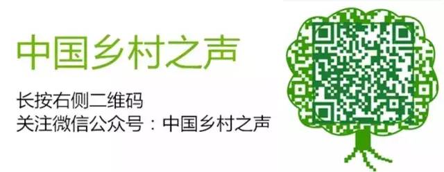 所谓赚钱项目是陷阱！k8凯发网站当心这些