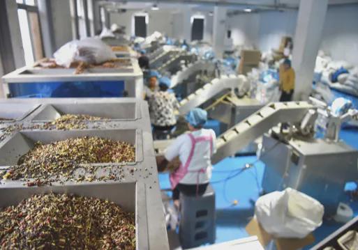 权益保护「新质供给」引领产业升级k8凯发一触即发拼多多加码商家(图2)